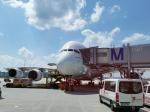 Shenzhen Freight Forwarder International Cargo Services / UPS FEDEX Air Fast