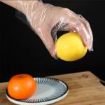 Food Grade Protection PE Waterproof Gloves