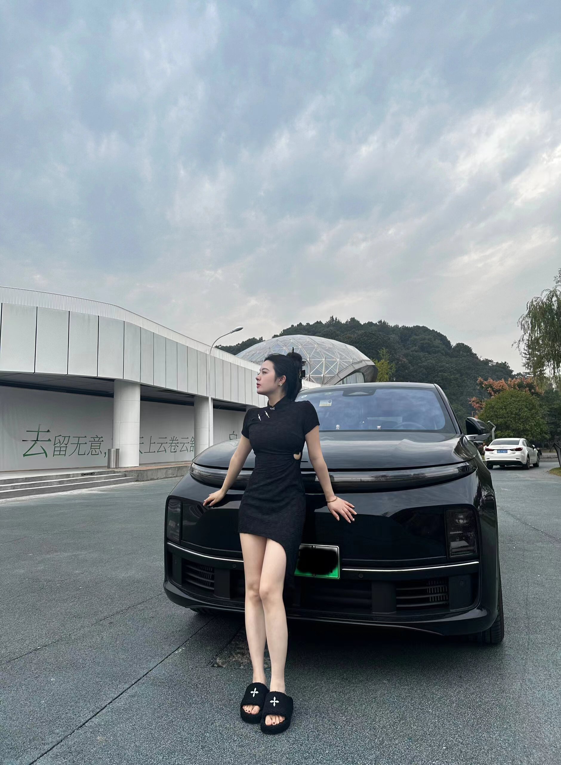 2024 Lixiang L7 Hybrid Electric SUV Extended Range Dual Motor Four-Wheel Drive Energy Vehicle with 0.5 Hour Charging Time