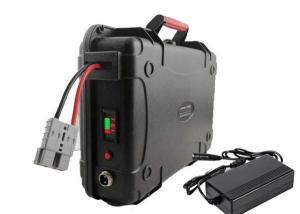 Quality Trolling LiFePO4 12V 100ah Battery wholesale