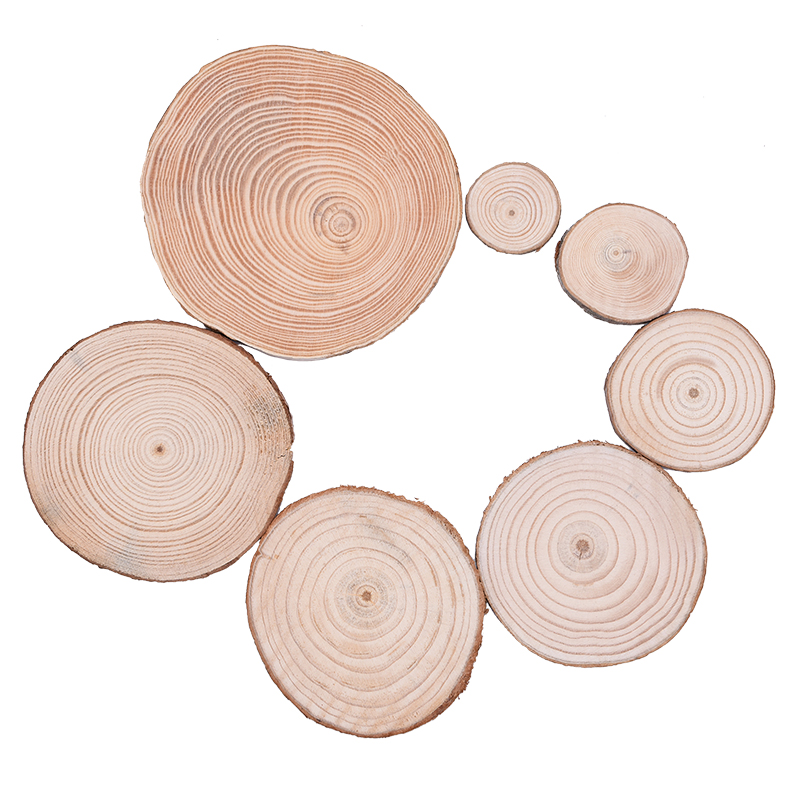 Bark Log 12cm Unfinished Wood Crafts Natural Wood Slices