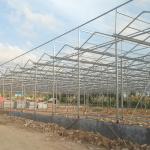 Multi-Span Agricultural Greenhouses for Sustainable Fruits and Vegetables