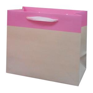 Quality Different Sizes Matt Lamination Luxury Wedding Gift Bags for Hotel wholesale