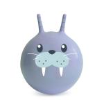 Antiburst Adult Sized Bouncy Ball