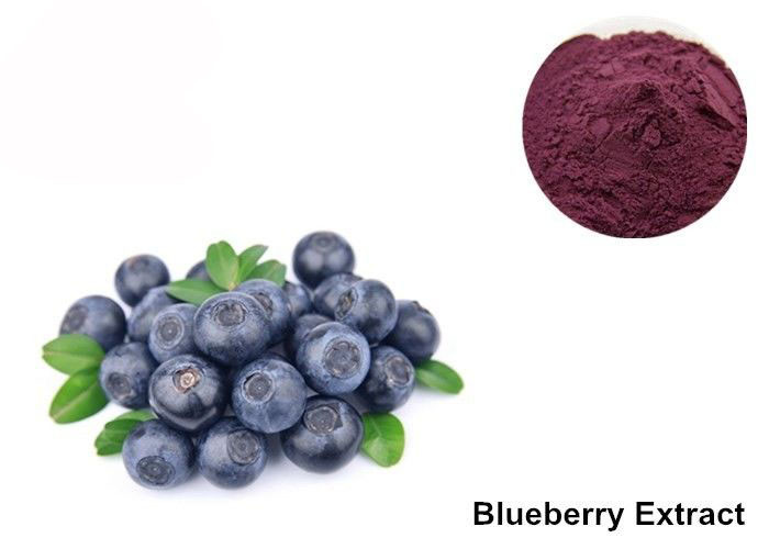 Organic Blueberry Extract Powder For Eyes