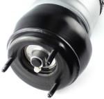 1663202613 Air Suspension Parts Air Suspension Strut