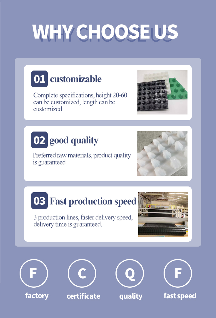CE/ISO9001 ISO14001 Certified HDPE Plastic Drainage Board for Drainage and Cost Savings