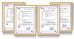 Foshan Orginal Imp. N Exp. Trading Co.,Ltd Certifications