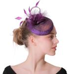 Sinamay And Goose Feather Fascinator Hat Wedding bridal Decoration 10x20CM