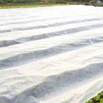 120Gsm PP Spunbond Agricultural Mulch Film