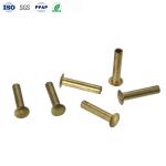 Flat Round Head Semi-Tubular Copper Rivets Screws High Precision Wholesale