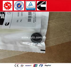 Quality Cummins ISM QSM11 Motor engine parts stainless steel Hexagon flange nuts 3900589 wholesale