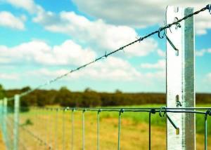 China 45cm Length Galvanised Star Pickets , 2.04kg Steel Star Picket on sale