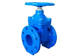 Quality (DIN) Cast Iron Resilient Gate Valve NRS wholesale