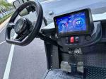 High Degree Electric Golf Cart E 3 Wheel 4 Wheel Drive Lifted Street Legal Club