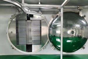 Quality Industrial Grade Food Vacuum Freeze Machine wholesale