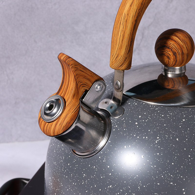 Household stainless steel electric OEM tea pot hot water whistling kettle