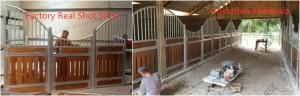 Quality European Galvanized Steel Horse Stable Box Stall Panel Customized Size wholesale