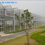 Commercial Blackout Polycarbnote Sheet Greenhouse Customized Eco Friendly
