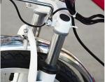 Lithium Battery Powered 240W 48V 24 Inch Wheel Electric Bike