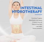 220v 380v Colon Cleaning Equipment 2l/Min Colon Hydrotherapy Machine