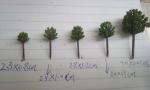 miniature trees-model trees,1:500 miniature artifical trees, plastic trees,fake