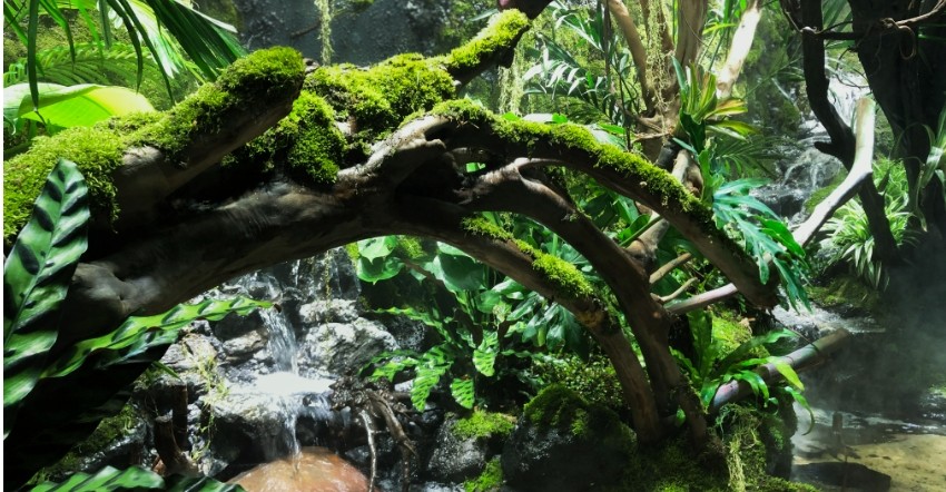 3D Simulated Stone Reptile Water Bowl Feed Portable For Lizards And Frogs