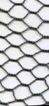Plant Protection Agricultural Netting Mesh , Lightweight Garden Anti-Bird Net