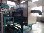 Coal Fuel Type Egg Tray Production Line , Roller Type Paper Egg Tray Moulding