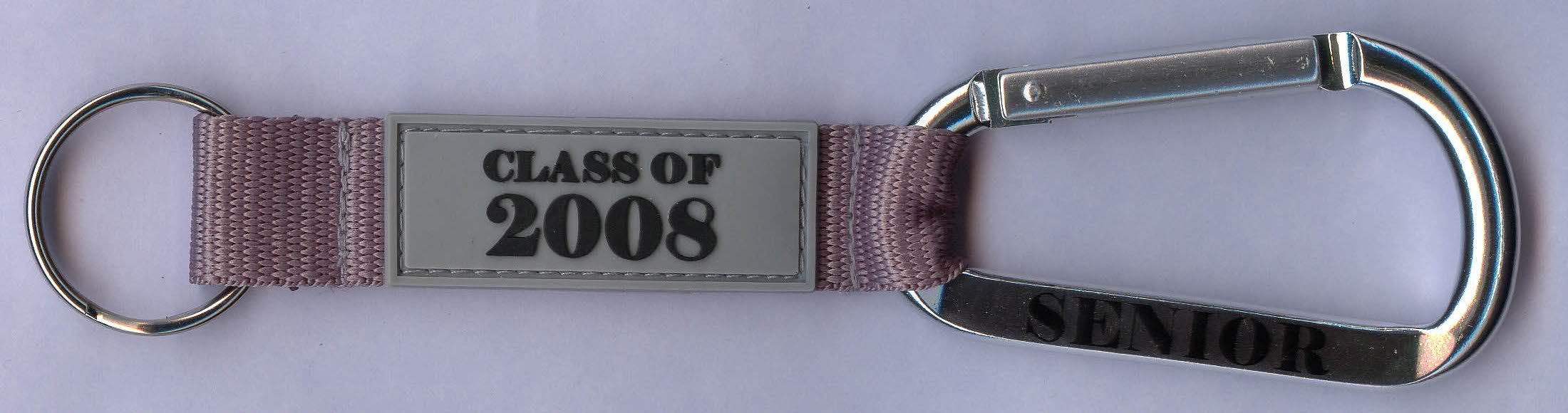 Polyester Lanyard Key Chain / Carabiner With Strap For Travel Agencies
