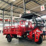 250cc Motorized Adult Tricycles Cargo Petrol Tanzania Motor Tricycle Manufacture