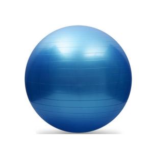 Quality High Density Anti Burst Gym Ball , Blue Fitness Balance Ball Custom Logo wholesale