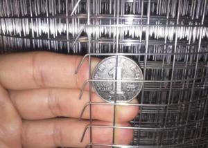 Quality 3/4 Inch Bird Aviary 30x1.2m Galvanised Welded Mesh Panels wholesale