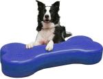 Factory wholesales bone Dog Training Regular Balancing Bone