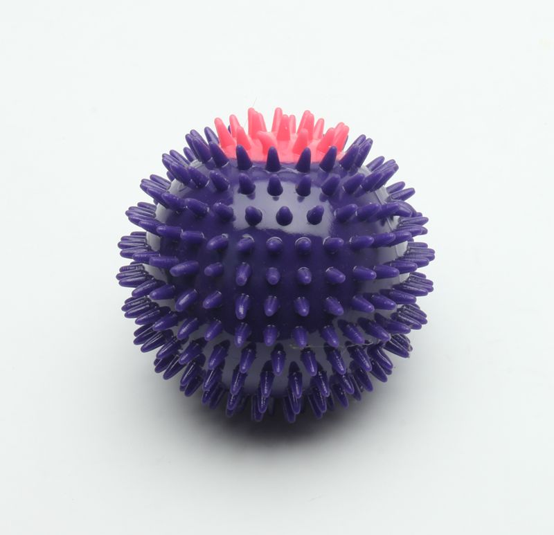 Great Gift TPR Plastic Squeaky Dog Balls Eco - Friendly Customized Color