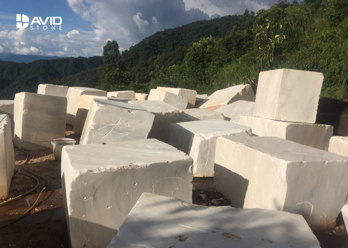 Sevic Marble Slab and Tiles from Shuitou Low Price Xiamen Fast Service