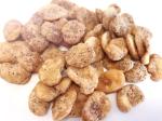 Shell Powder Coated Fava Bean Snack , Roasted Fava Beans Nutrition Garlic Flavor