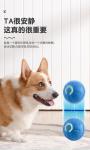 Interactive Pet Toy Balls - Stimulating and Engaging