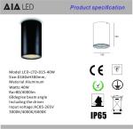 40W ip65 downlight &waterproof downlight led&outdoor DALI dimmable downlight for