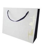Business Printed Kraft Paper Bags With Gold Hot Stamping Surface Finish