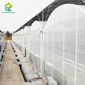 Quality UV Protection Greenhouse Cover Materials High Strength PE Stretch Film wholesale