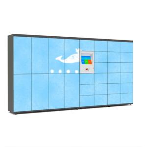 Quality Outdoor Postal Service Laundry Cabinet Intelligent Wash Wardrobe Locker wholesale