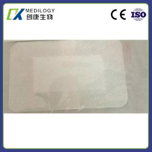 Quality Self Adhesive Plaster Non Woven Wound Dressing Hemostatic Surgicel Dressing Dental wholesale