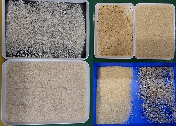 Millet Brown Rice Myotonin CCD Automatic Color Sorting Machine