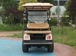 Pink Color ODM Dual Drive Chariot 40 Mph Golf Cart Custom Golf Buggy 4 Wheel 4KW