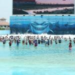 Amusement Water Park Vacuum Tsunami Wave Pool Equipment