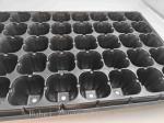 Series 9 Nursery Seed Tray 50cell tray