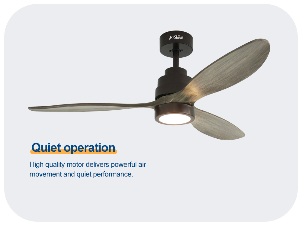 ceiling fan