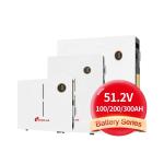 51.2v 200ah Household Wall-mounted Lifepo4 Battery for Off Grid Energy Storage