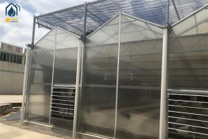 Quality Organic Crop Farming Polycarbonate Greenhouse Indoor Vegetable Greenhouse wholesale